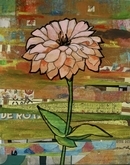 Zinnia