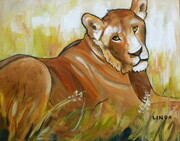 Lonely Lion (Zimbabwe)