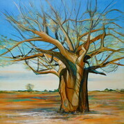 Ancient Baobab Tree (Botswana)